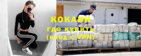 индика Алексеевка