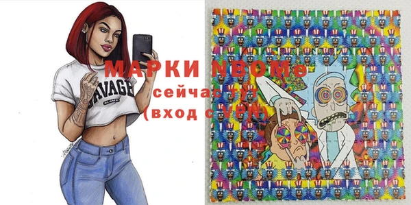 индика Алексеевка